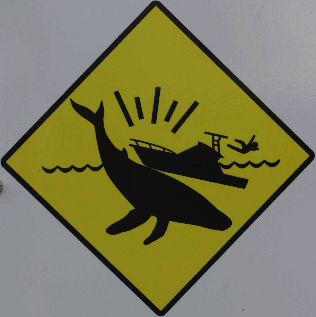 How to:Whale