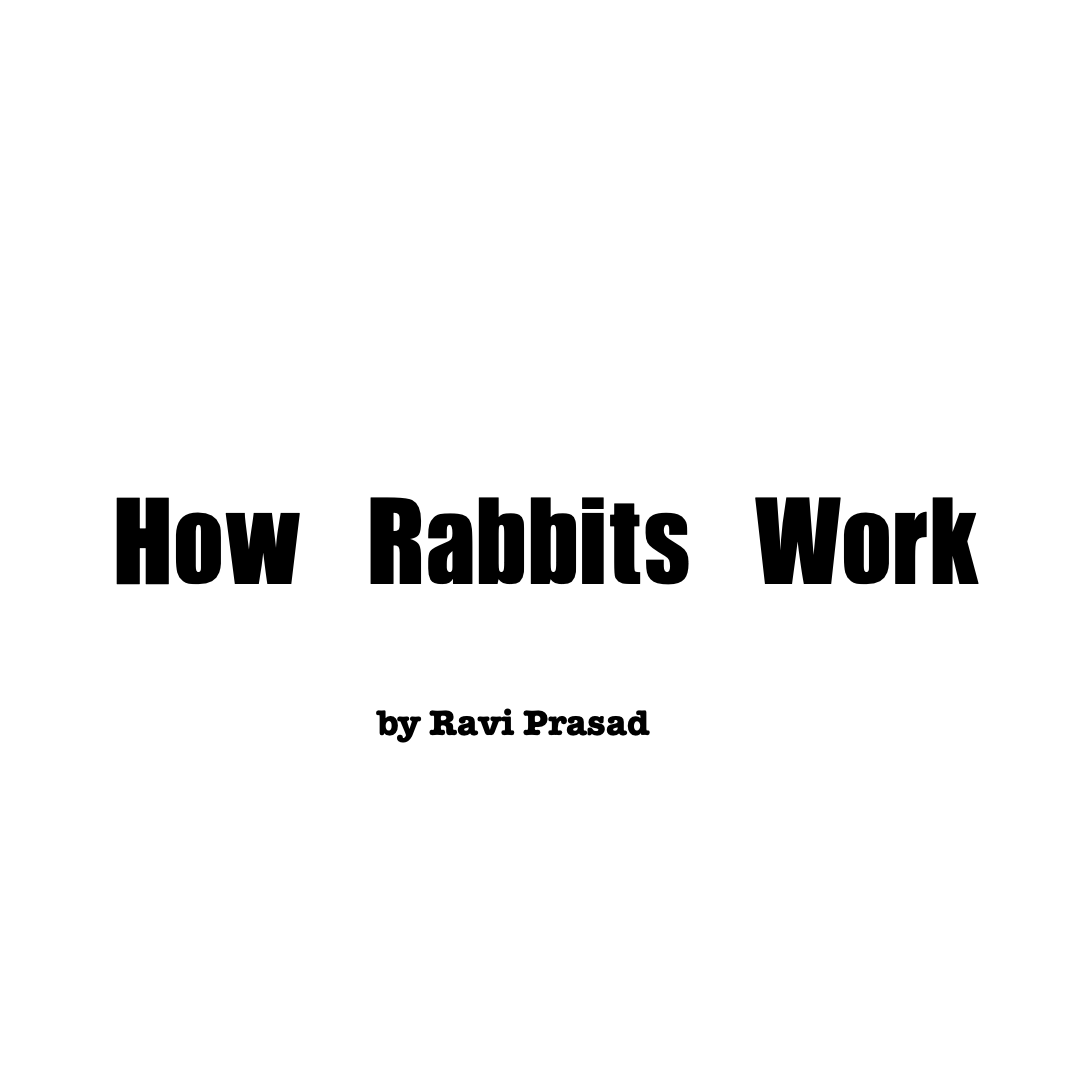 How Rabbits Work
