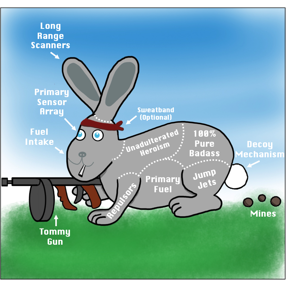 How Rabbits Work